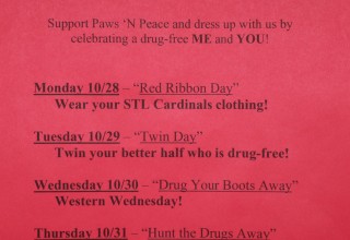 Red Ribbon Week; Drug Free America