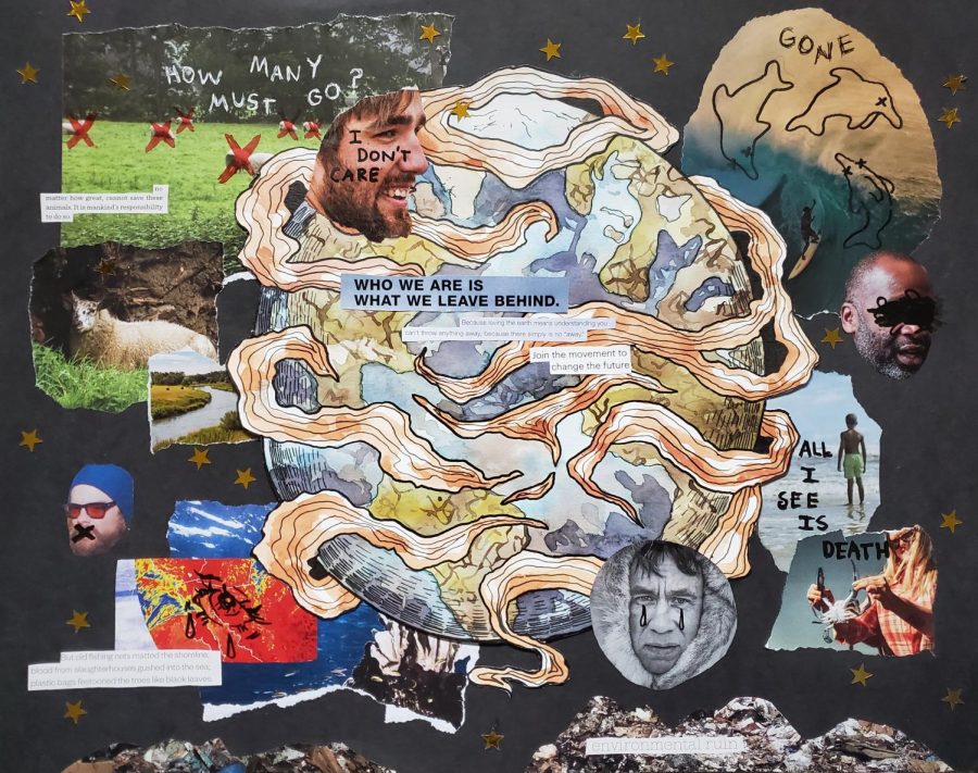Lutsky used a compilation of  magazine cut outs and quotes to express to the reader that the pollution we leave behind is not something to just brush off. The effects of all this plastic is dangerous.   