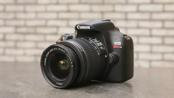 Canon EOS Rebel T6: A Great Entry-Level Camera
