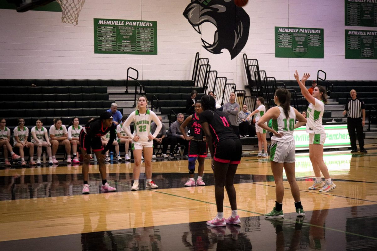 Bergmann's Basketball Journey