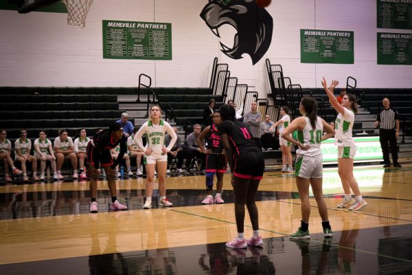 Bergmann's Basketball Journey