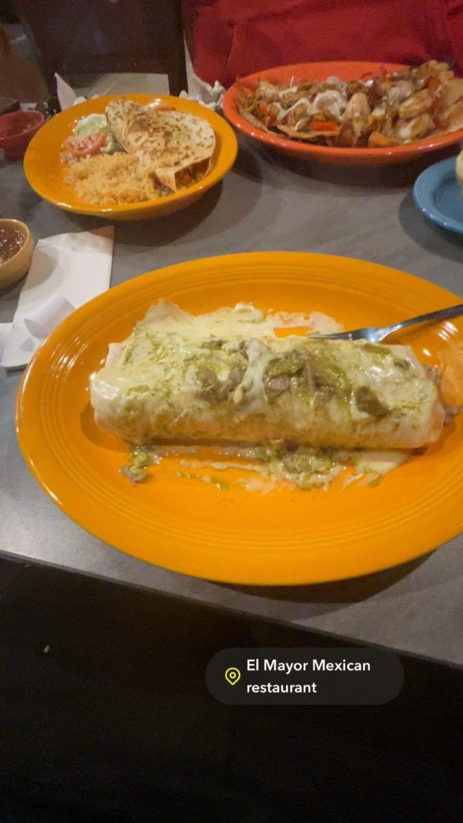 Burrito Gordo from El Mayor